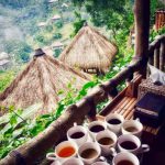 Gambar riwayat Melissa Maliani